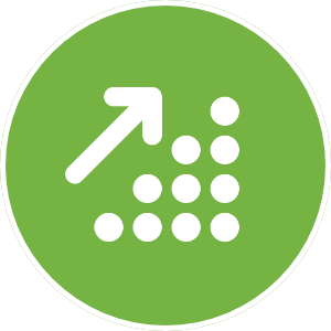 Success / growth Icon